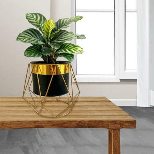 Macetero Decorativo Moderno - Estilo Geométrico Negro y Dorado S - Imagen 3